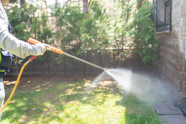 Reliable Siloam Springs, AR Pest Control Solutions